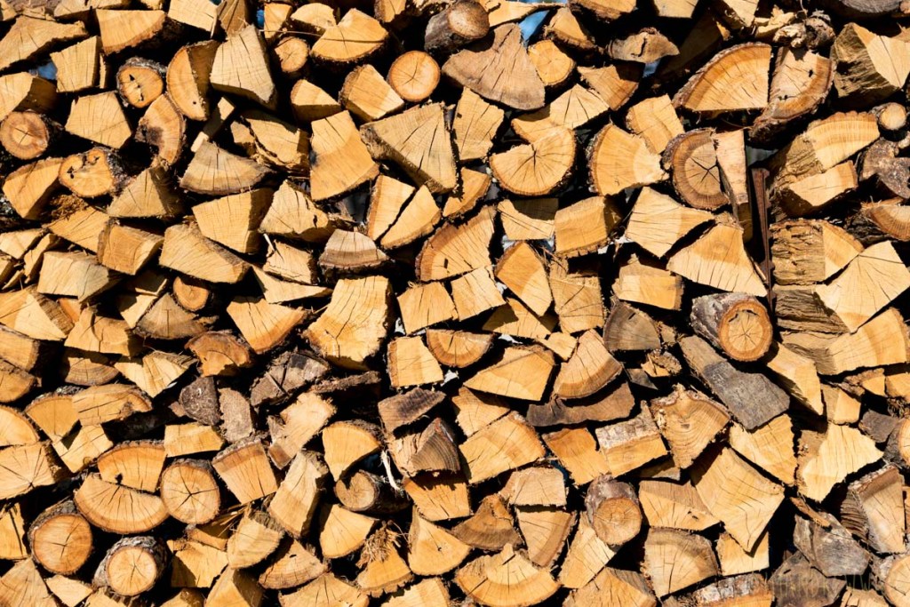 Haven’t won, Haven’t&nbsp;Lost