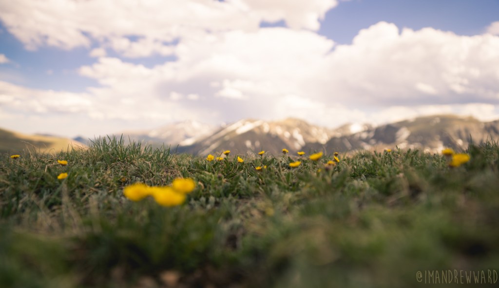 I used to fancy myself a&nbsp;poet.