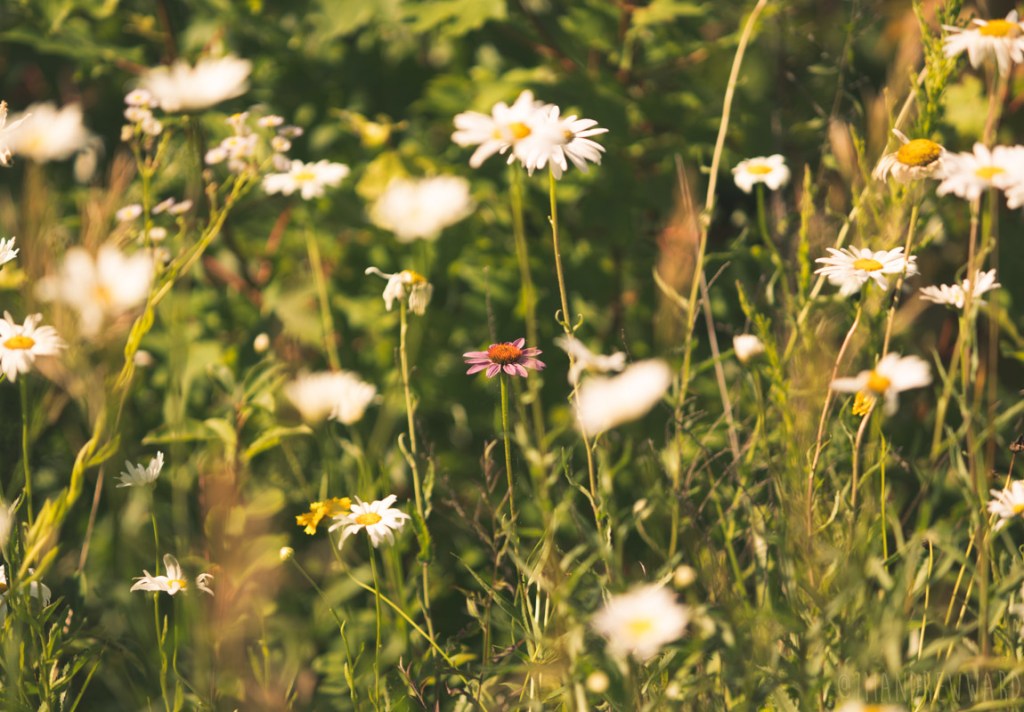 It does get&nbsp;better