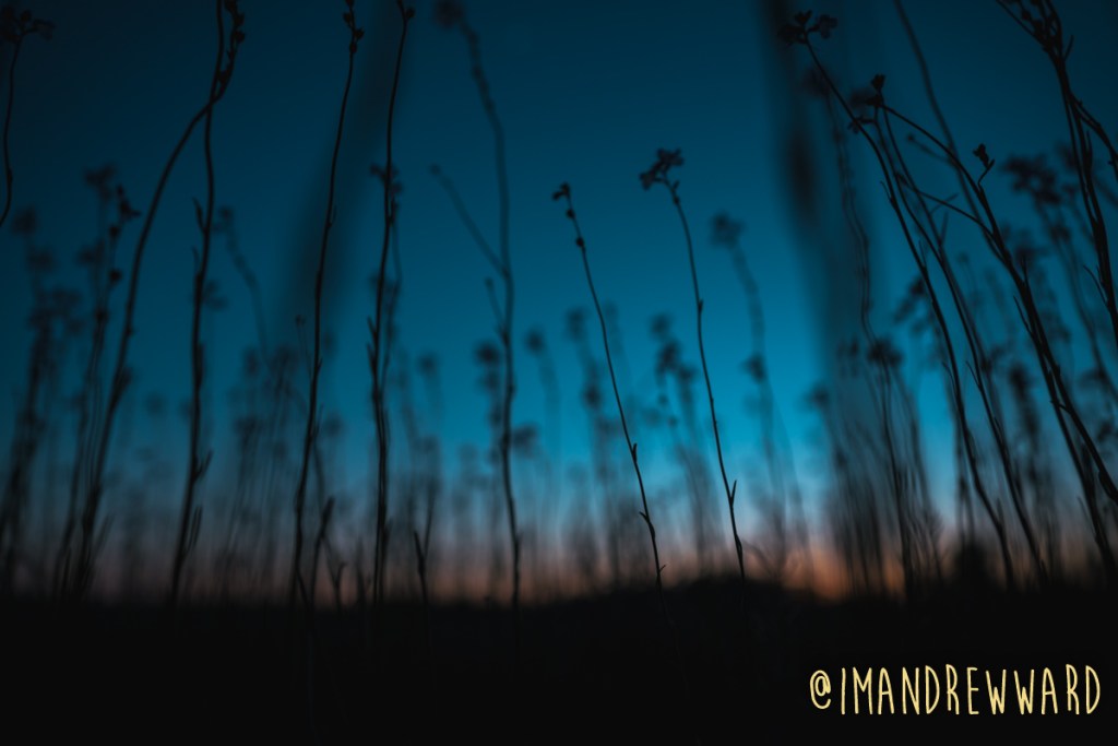 Here’s your fucking&nbsp;blog